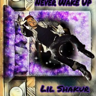 Never Wake Up by Lil Shakur