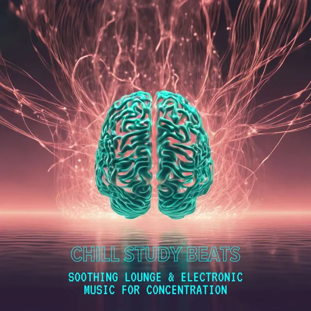 Chill Study Beats: Soothing Lounge & Electronic Music for Concentration