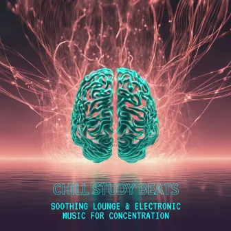 Chill Study Beats: Soothing Lounge & Electronic Music for Concentration by Vintage & Lounge