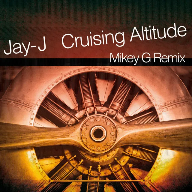 Cruising Altitude - Mikey G Remix