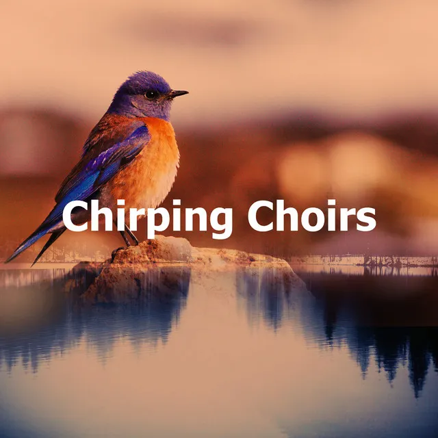 Chirping Choirs