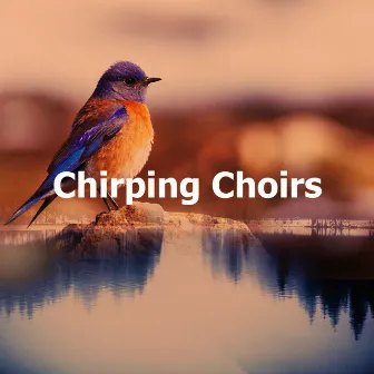 Chirping Choirs by Swedish-Bird-Sounds