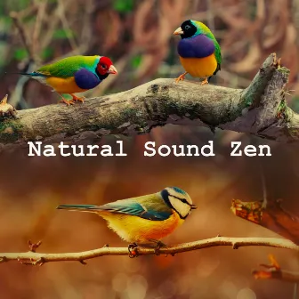 Natural Sound Zen by Natural Sound Selections