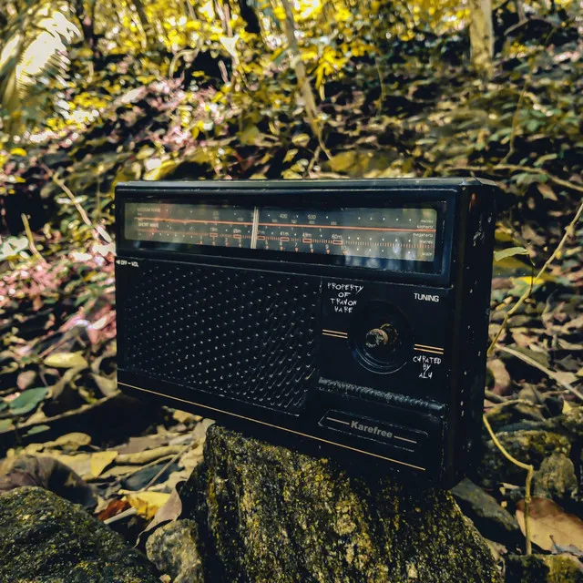 Radio