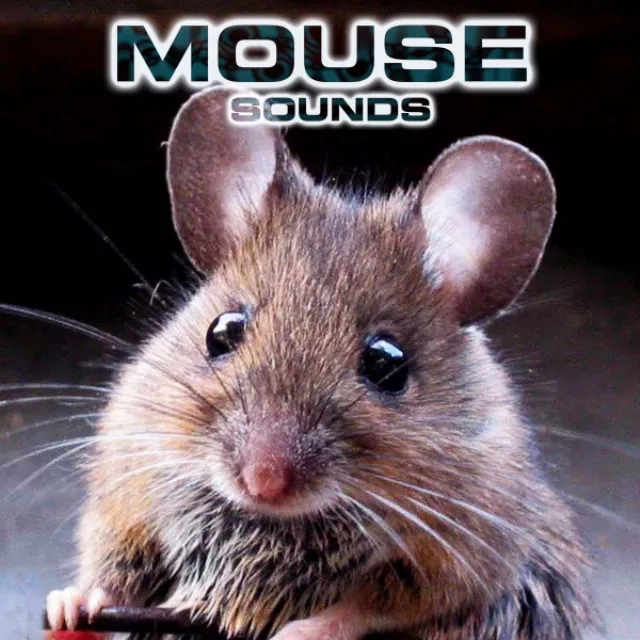 Mouse Sounds