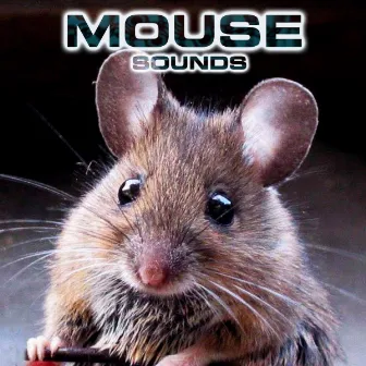 Mouse Sounds by Nature Sounds New Age