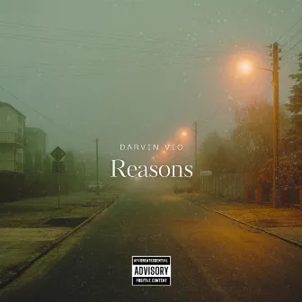 REASONS by Darvin Vic