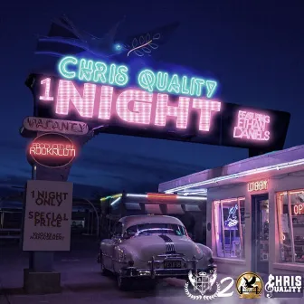 One Night (Radio Version) by Chris Quality