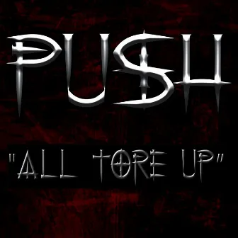 All Tore Up by Push