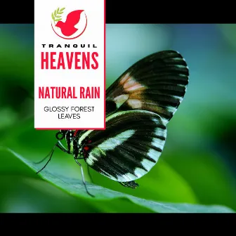 Natural Rain- Glossy Forest Leaves by Cosmic Nature Sounds