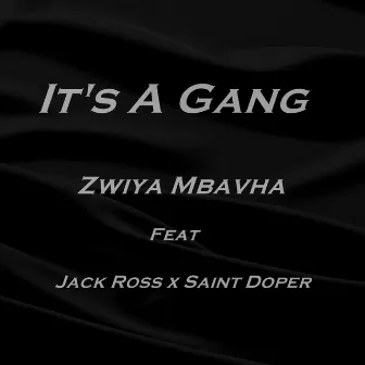 Zwiya Mbavha by It's a Gang