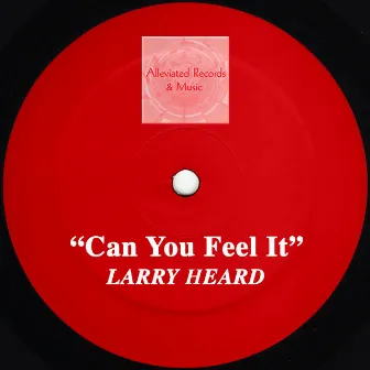 Can You Feel It by Larry Heard