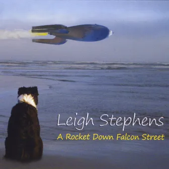 A Rocket Down Falcon Street by Leigh Stephens