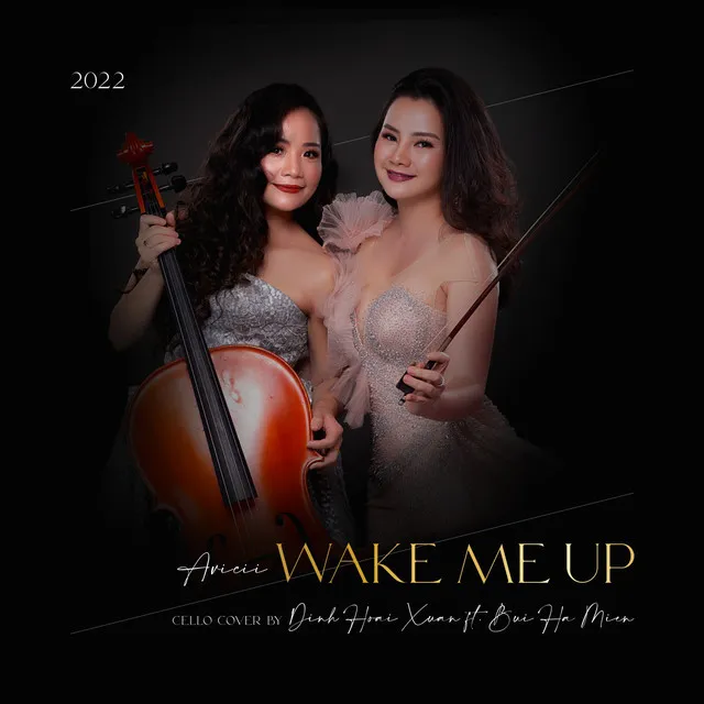 Wake Me Up - Cello Cover