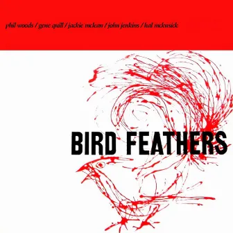 Bird Feathers by Phil Woods