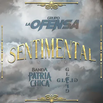 Sentimental (En Vivo) by Banda Patria Chica