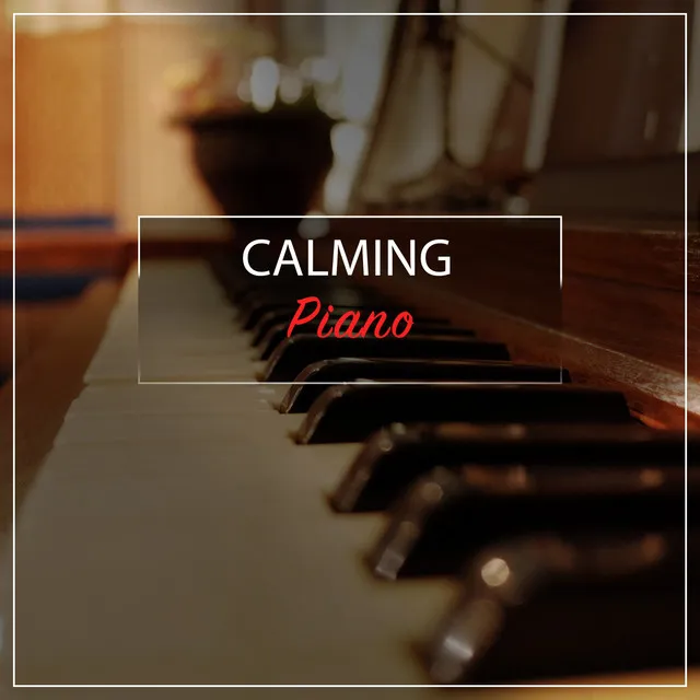 Calming Piano Compilation