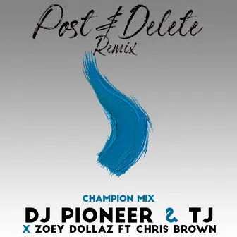 Post & Delete Remix (Champion Mix) by DJ Pioneer