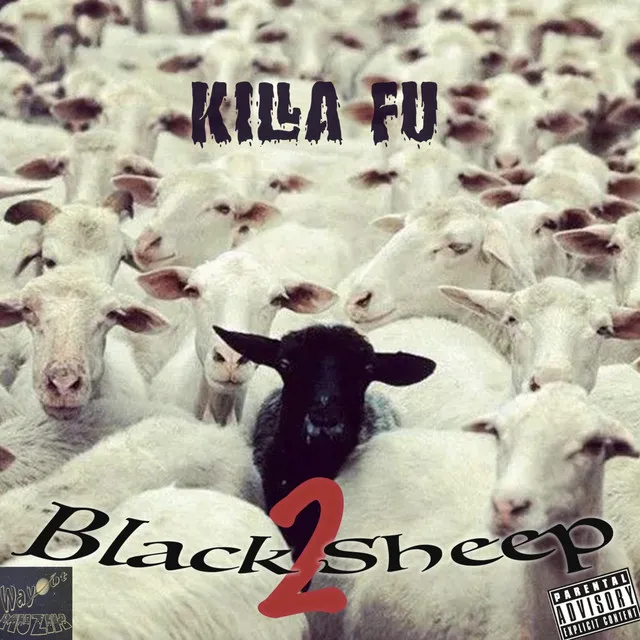 Black Sheep 2