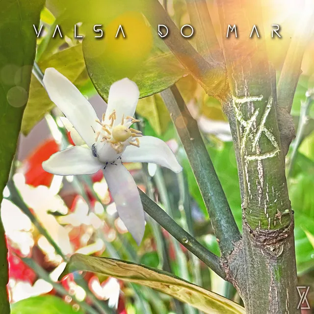 Valsa do Mar