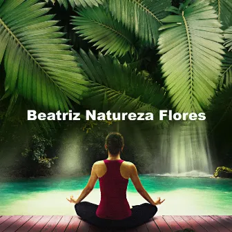 Beatriz Natureza Flores by Beatriz Natureza Flores