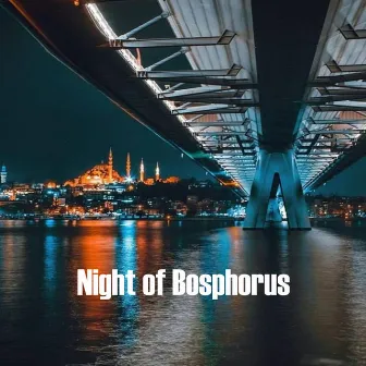 Night of Bosphorus by Mustafa Can Aladag