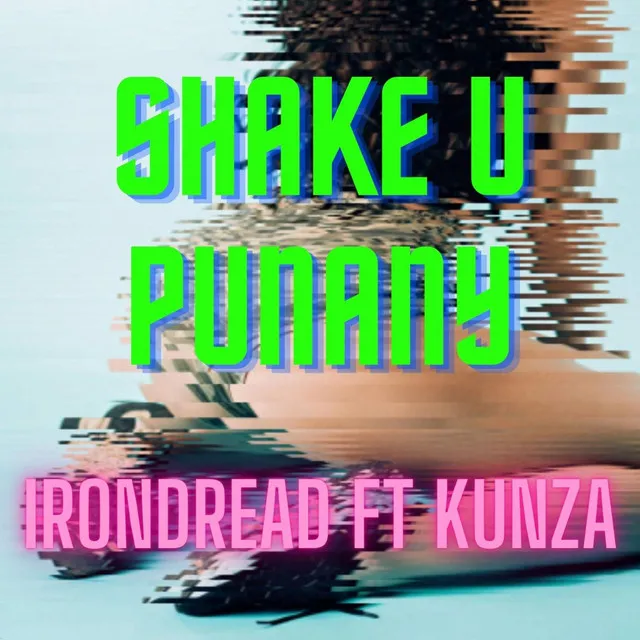 Shake U Punany