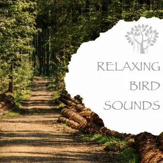 Relaxing Bird Sounds by Natural Spirit