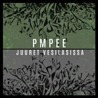 Juuret vesilasissa by PMPEE