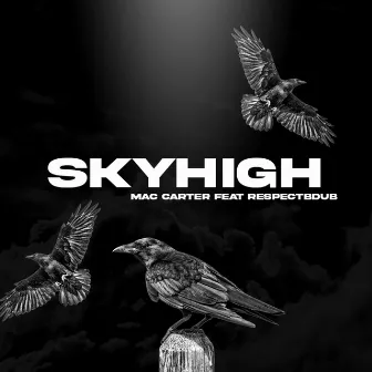 SKYHIGH by Mac Carter