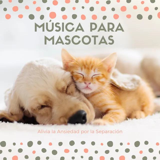 Música para Mascotas