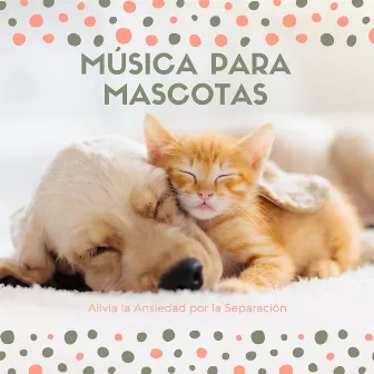 Música para Mascotas – Alivia la Ansiedad por la Separación by Música para Mascotas