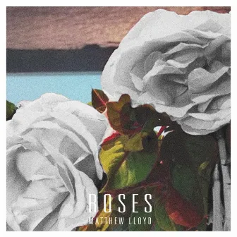 Roses by Matthew Lloyd