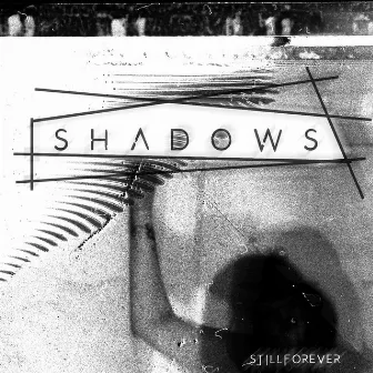 S H A D O W S by Still Forever