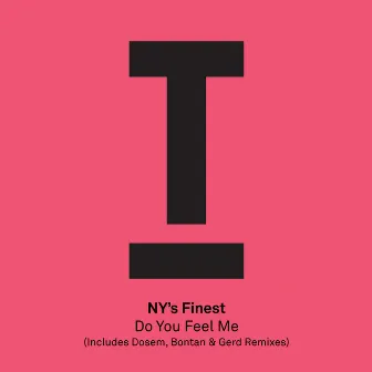 Do You Feel Me by NY's Finest