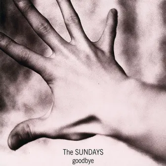 Goodbye by The Sundays