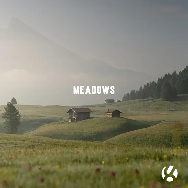 Meadows