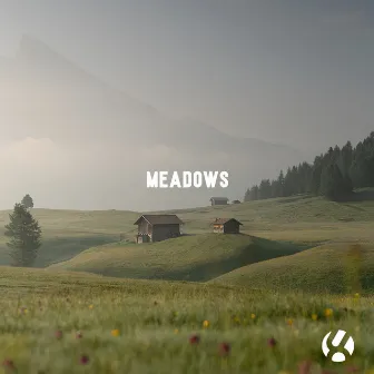 Meadows by Trent Ivor.