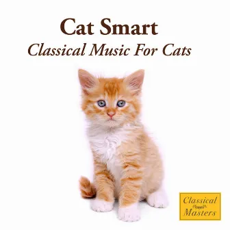 Cat Smart - Classical Music For Cats by St. Martin's Orchestra