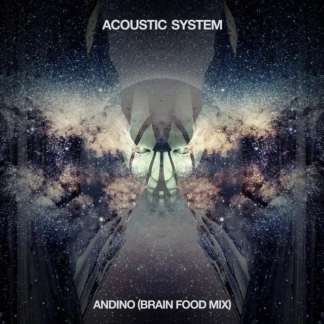 Andino - Brain Food Mix