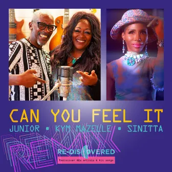 Can You Feel It (Remix) by 