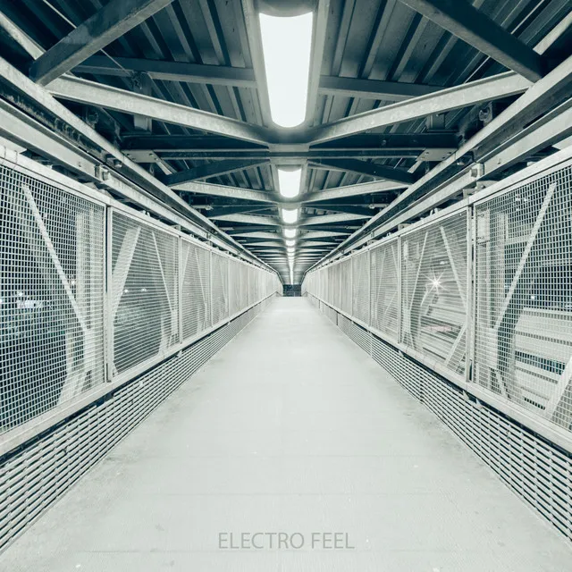 Electro Feel