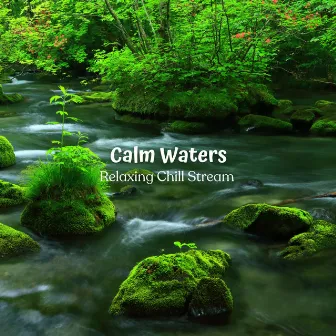 Calm Waters: Relaxing Chill Stream by Ronnie Relaxation