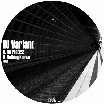 No Process / Nothing Known by DJ Variant