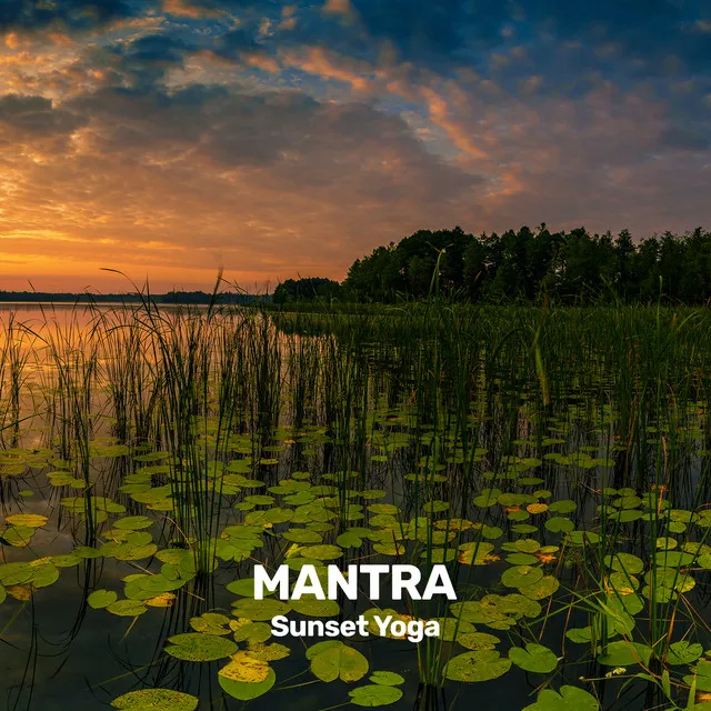 Sunset Yoga