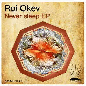 Never Sleep EP by Roi Okev