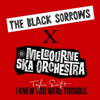 I Knew You Were Trouble by Melbourne Ska Orchestra