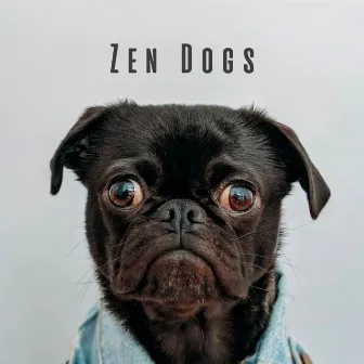 Zen Dogs: Chill Crystal Singing Bowl Tunes with Gentle Rain by Good Dog Music