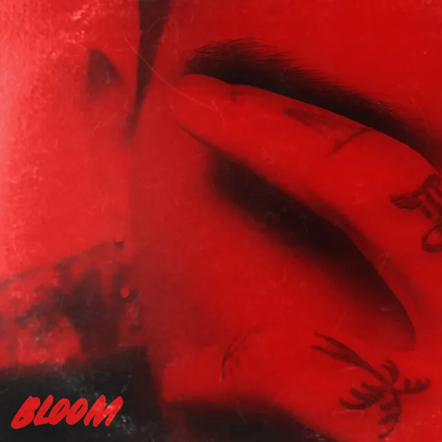 Bloom