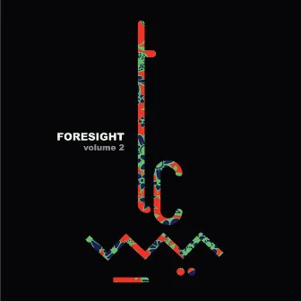 Foresight, Vol. 2 by Inamo